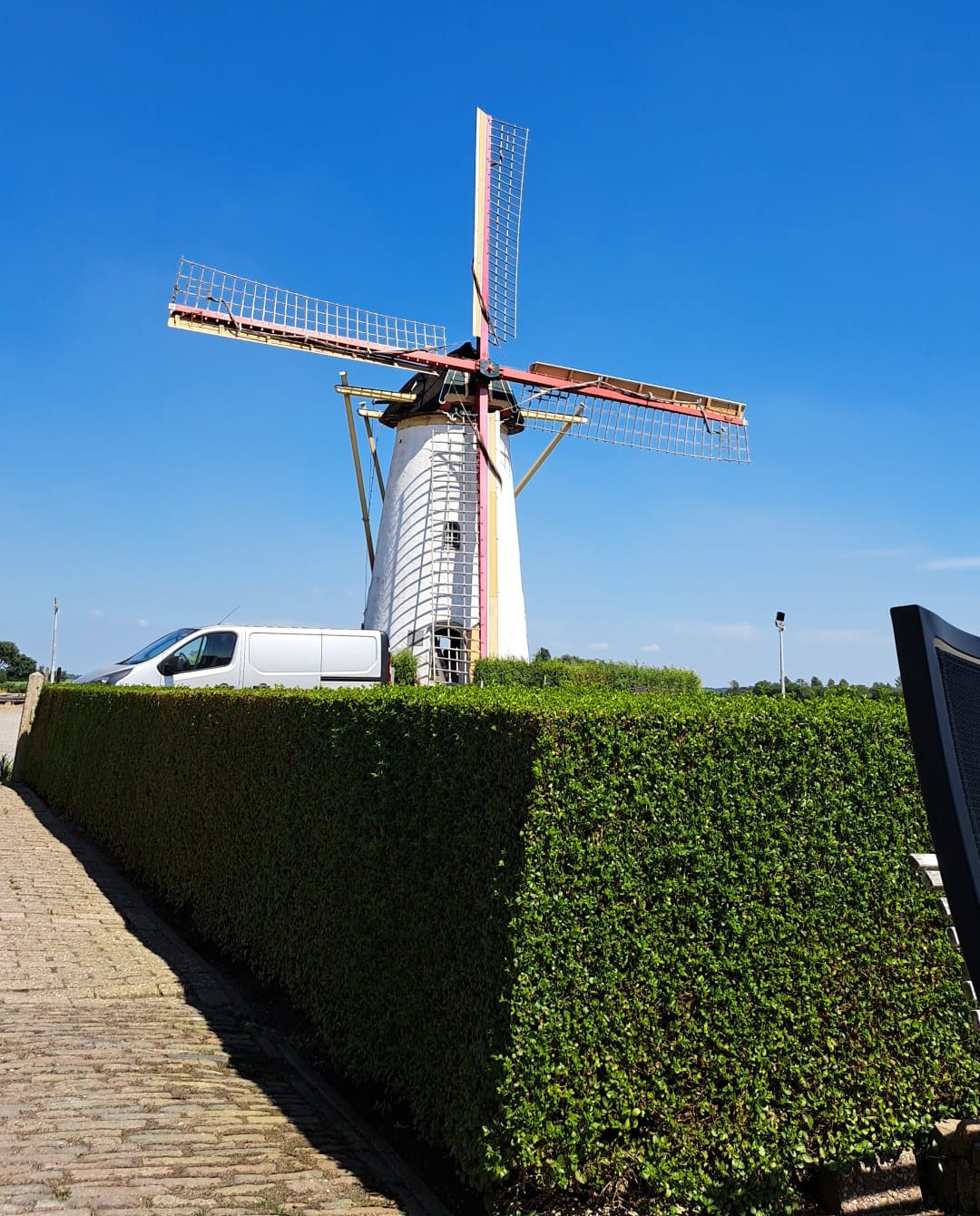 Foto witte molen met heg