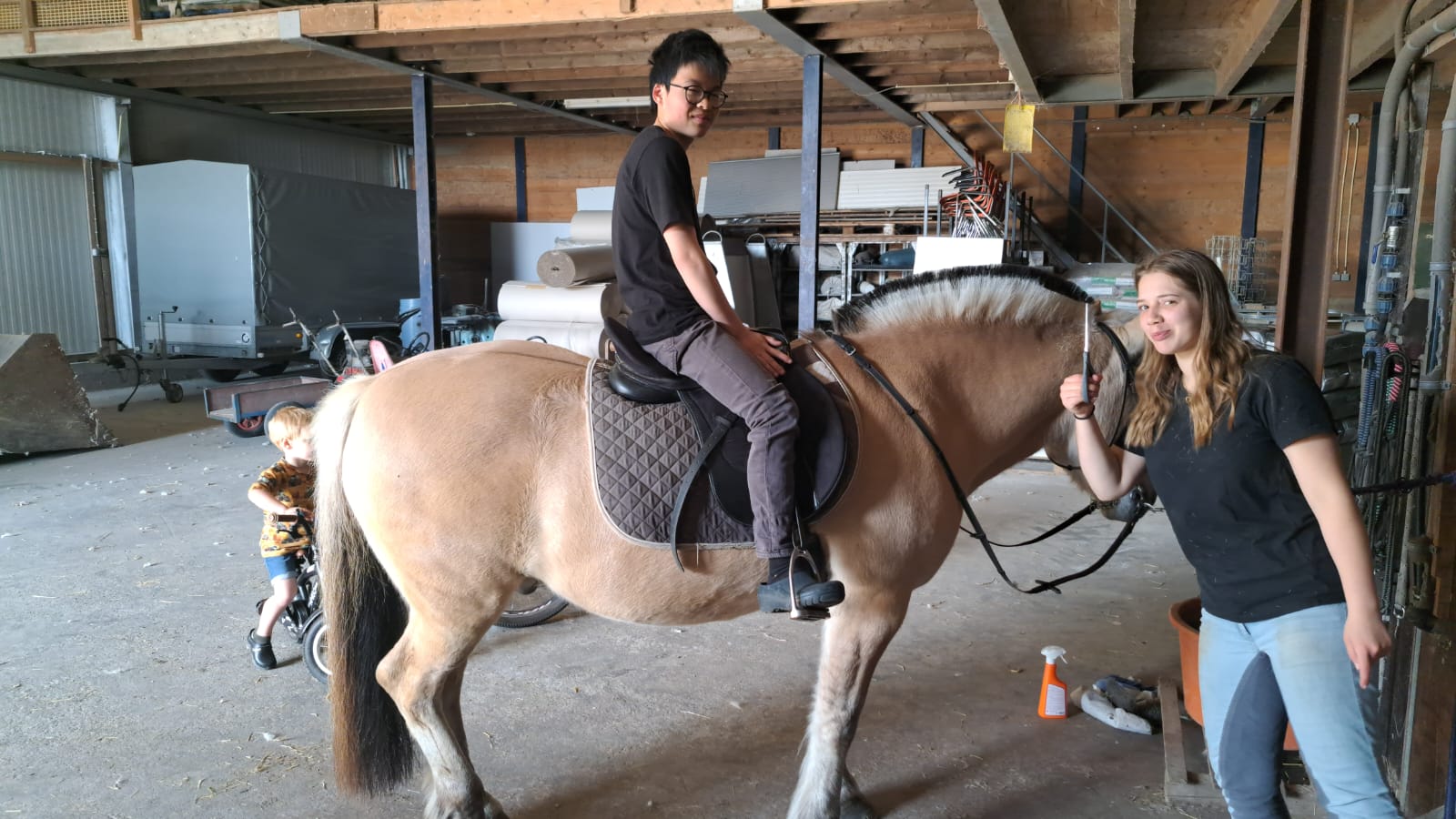Foto student op paard